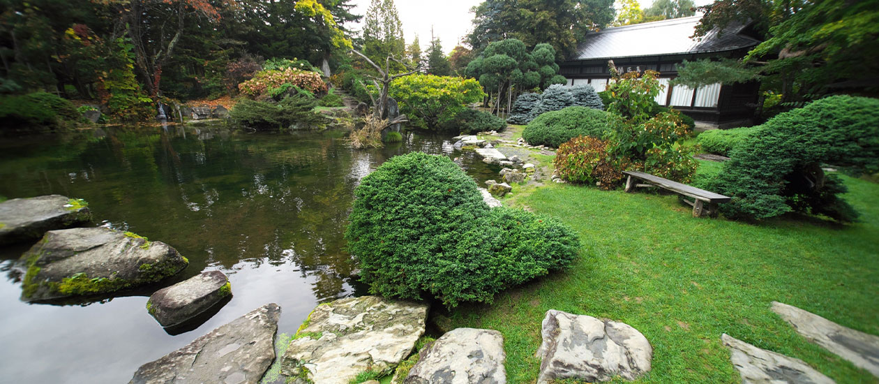 庭造りで培った豊富 な知識と経験で、お客様のニーズにお応えしております。